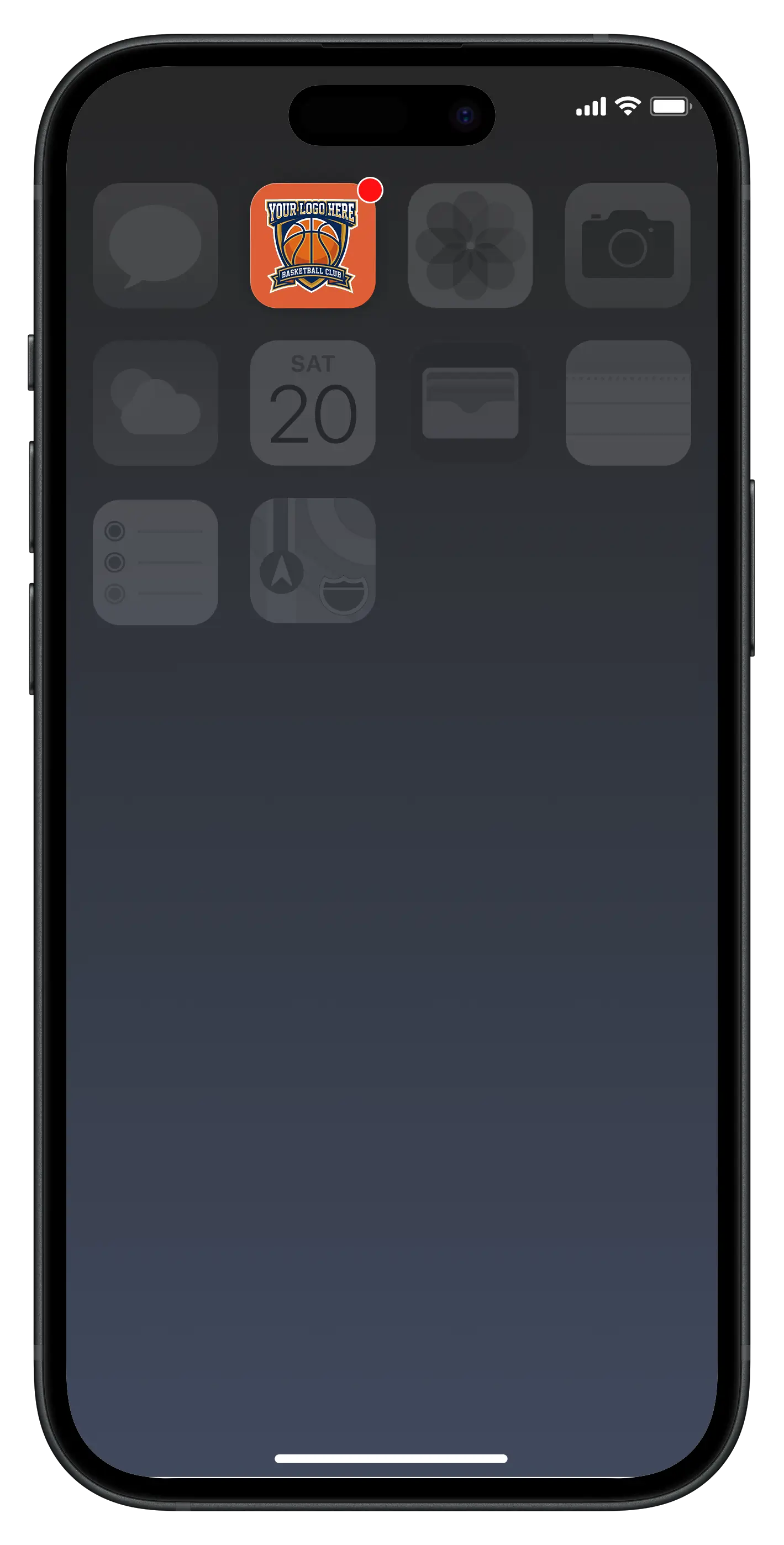 CoachCanvas playbook app on a phone
